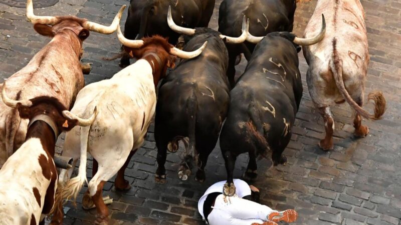 Saída de touros deixa seis feridos na festa de San Firmino em Pamplona