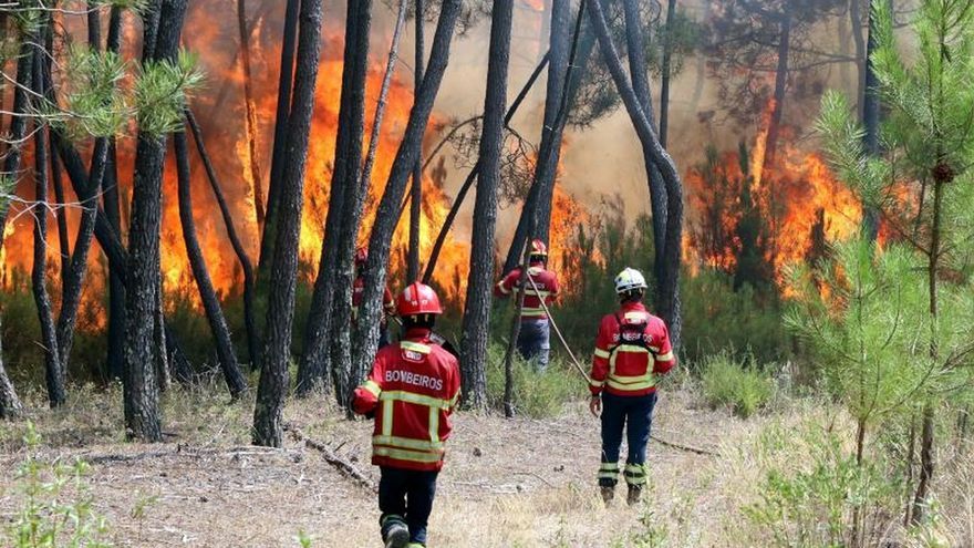 Incêndio na região de Abrantes mobiliza mais de 200 trabalhadores