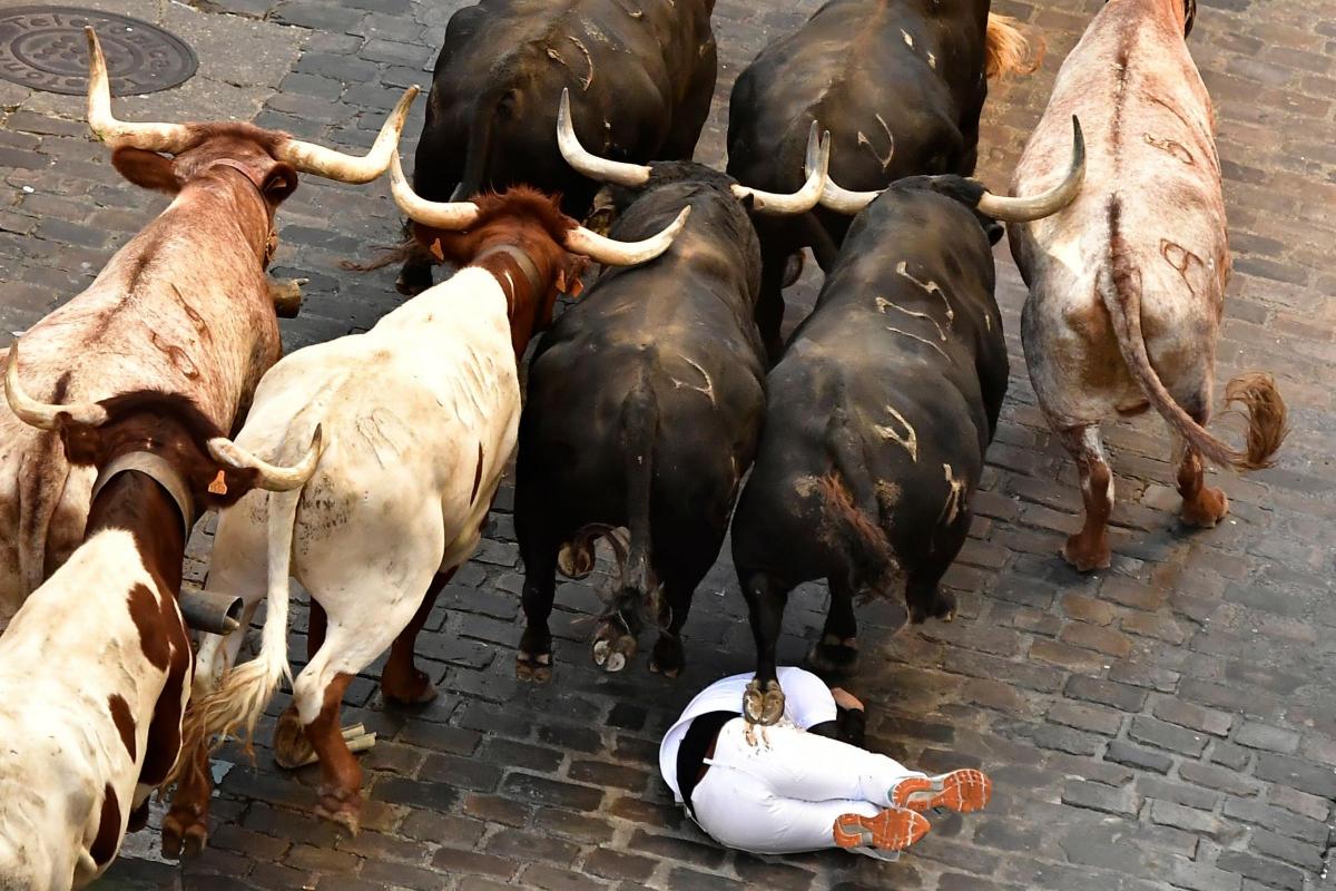 Saída de touros deixa seis feridos na festa de San Firmino em Pamplona